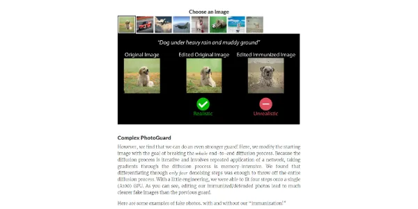 PhotoGuard AI Detection