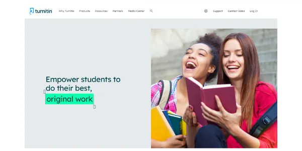 Turnitin AI Detection