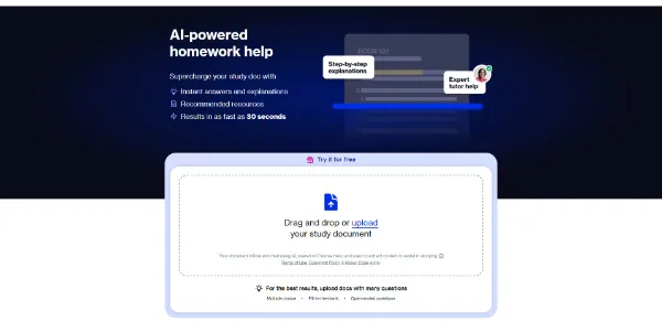 AI homework by Course Hero