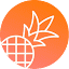 Pineapple Builder icon